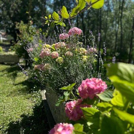 Emily's House Ferienhaus *