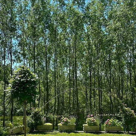 Emily's House Ferienhaus